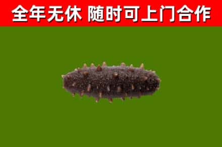 太仆寺旗烟酒回收干海参.jpg